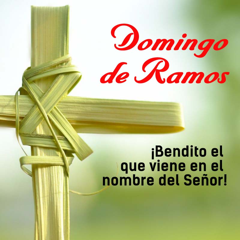 Domingo de Ramos traerse el ramo o la palma de casa. Parroquia Santa